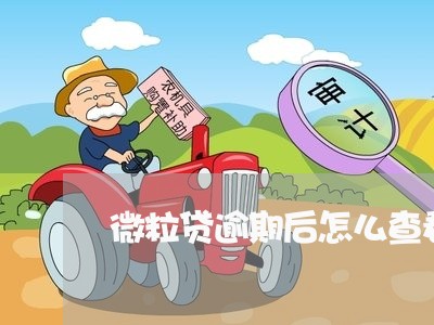 微粒贷逾期后怎么查看本金/2023062759381