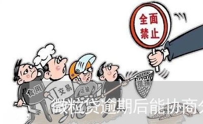 微粒贷逾期后能协商分期吗/2023062914848