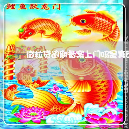 微粒贷逾期备案上门吗是真的吗/2023062995038