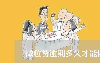 微粒贷逾期多久才能协商分期/2023062996036