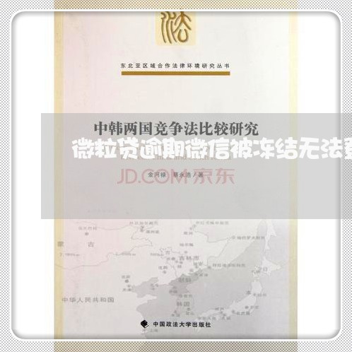 微粒贷逾期微信被冻结无法登录/2023062913715