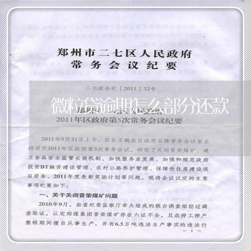 微粒贷逾期怎么部分还款 微粒贷逾期怎么部分还款