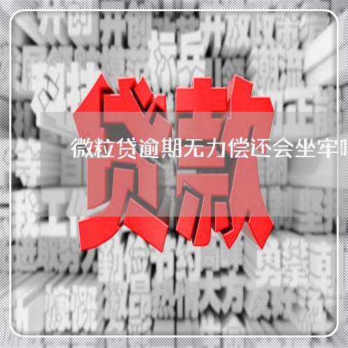 微粒贷逾期无力偿还会坐牢吗