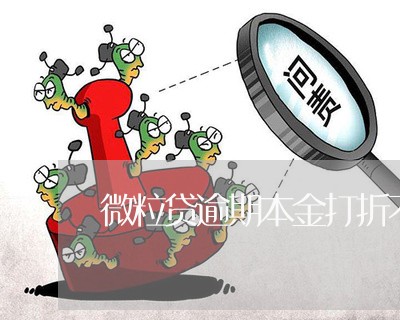 微粒贷逾期本金打折不还/2023033071838