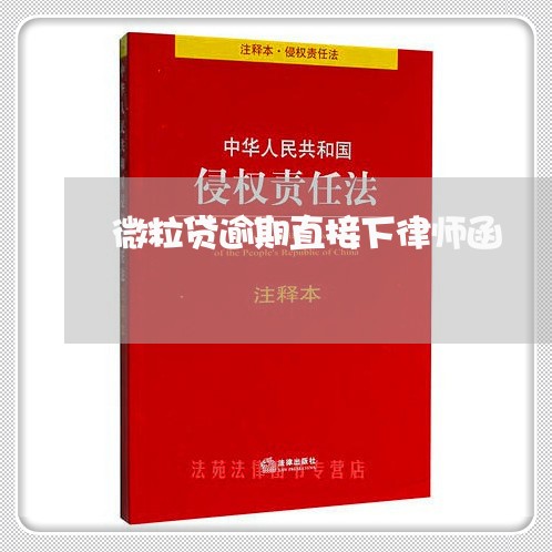 微粒贷逾期直接下律师函/2023071126251