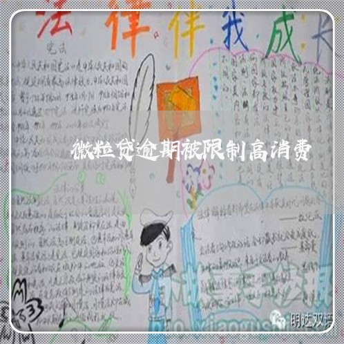 微粒贷逾期被限制高消费 微粒贷逾期被限制高消费