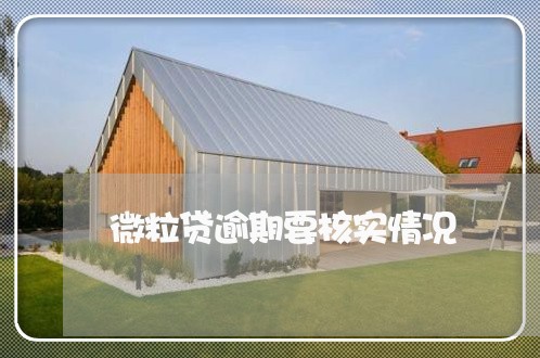 微粒贷逾期要核实情况
