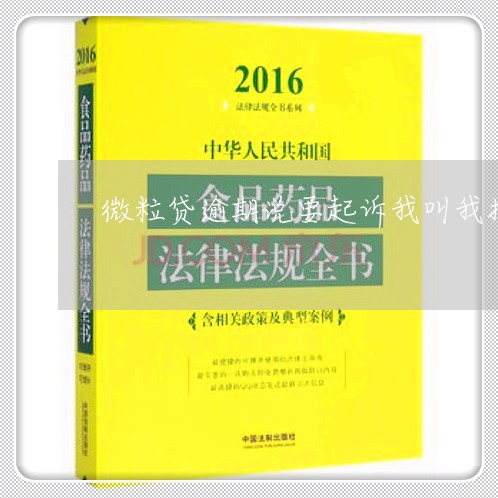 微粒贷逾期说要起诉我叫我找律师/2023091347147