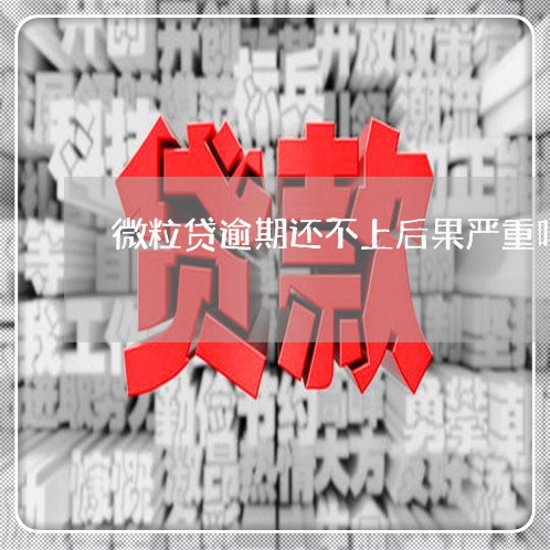 微粒贷逾期还不上后果严重吗 微粒贷逾期还不上后果严重吗