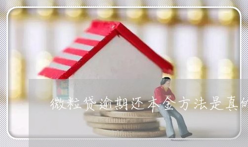 微粒贷逾期还本金方法是真的吗/2023062997158