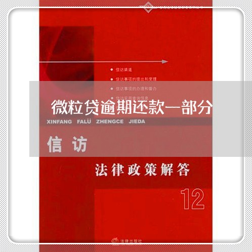 微粒贷逾期还款一部分/2023091307360