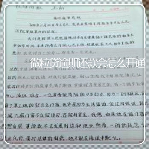 微粒贷逾期还款会怎么开通/2023060732604