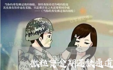 微粒贷逾期还款通道/2023020603848