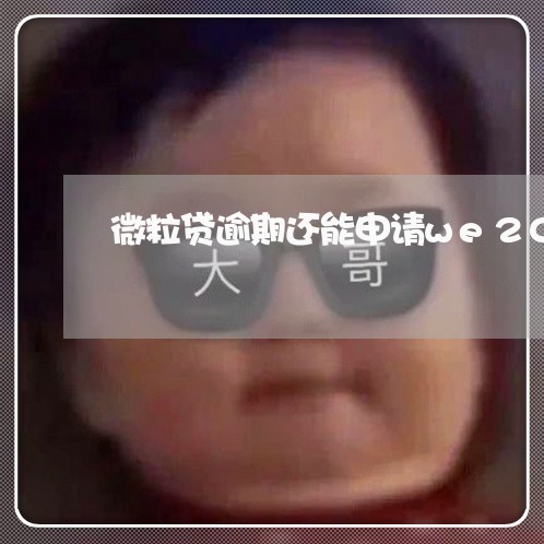 微粒贷逾期还能申请we2000吗/2023091374824