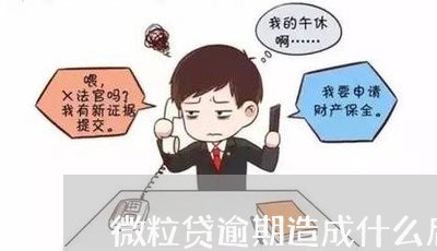 微粒贷逾期造成什么后果/2023030148549