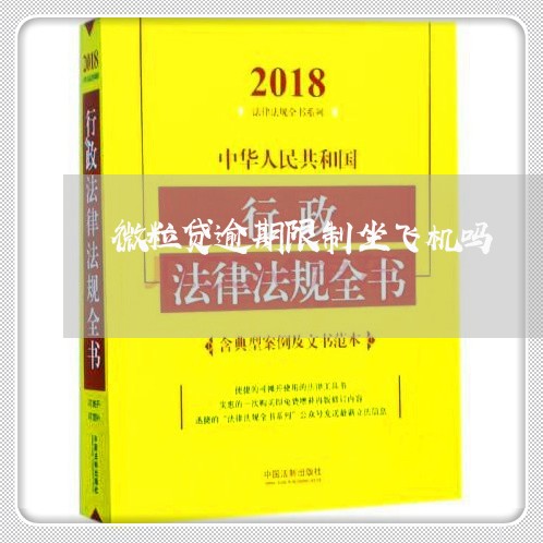 微粒贷逾期限制坐飞机吗