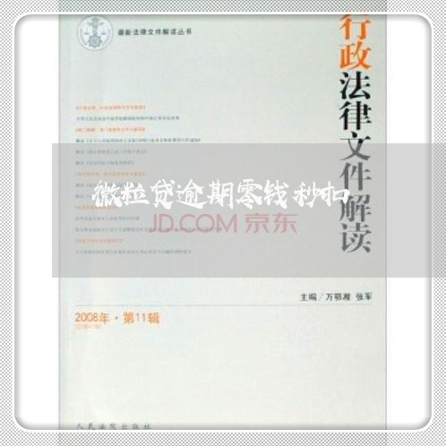微粒贷逾期零钱秒扣/2023020516372
