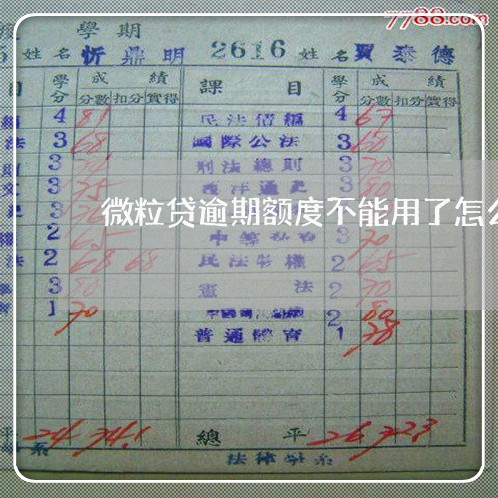 微粒贷逾期额度不能用了怎么恢复
