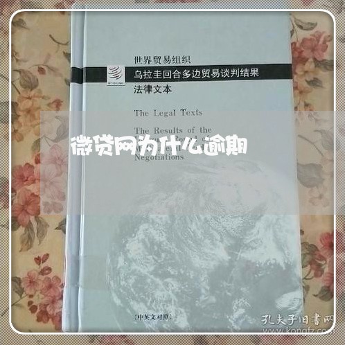 微贷网为什么逾期