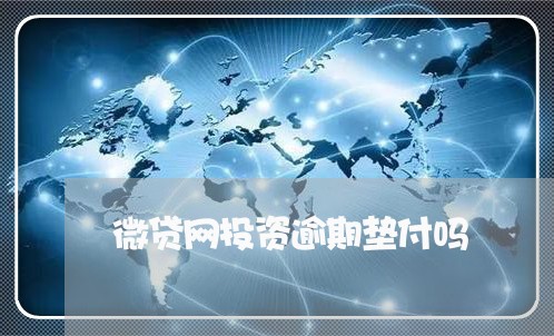 微贷网投资逾期垫付吗