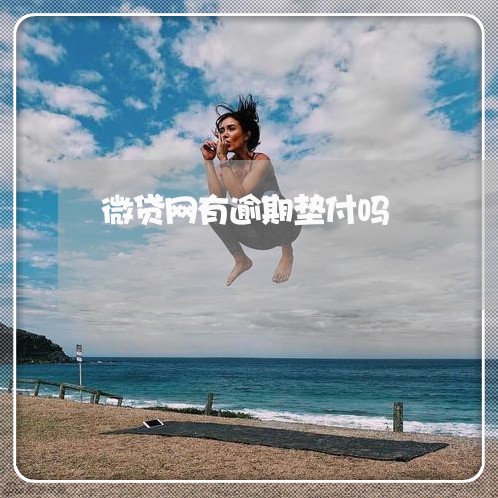 微贷网有逾期垫付吗 微贷网有逾期垫付吗