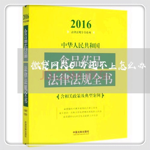 微贷网欠6万还不上怎么办