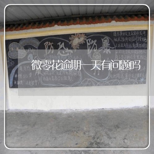微零花逾期一天有问题吗 微零花逾期一天有问题吗