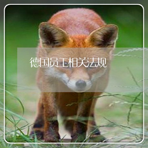 德国员工相关法规 德国员工相关法规