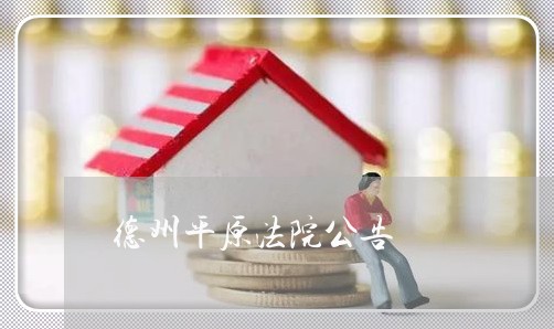 德州平原法院公告 德州平原法院公告