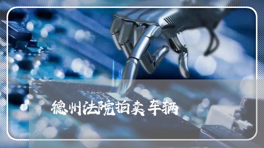 德州法院拍卖车辆