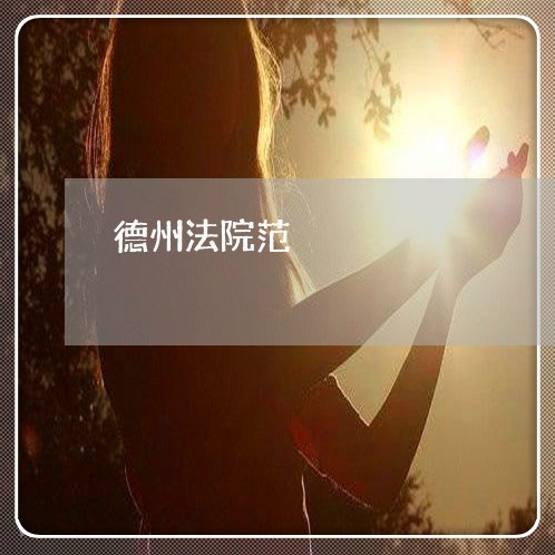 德州法院范 德州法院范
