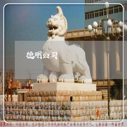 德明公司 德明公司