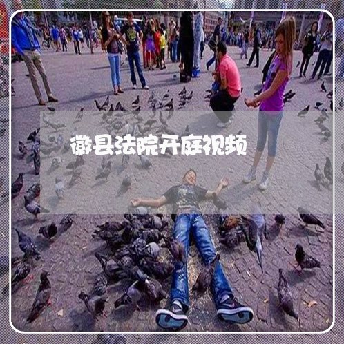 徽县法院开庭视频