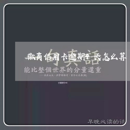 徽商信用卡逾期4天怎么算/2023060219814