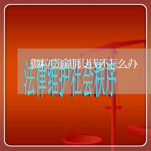 徽粒贷逾期没钱还怎么办