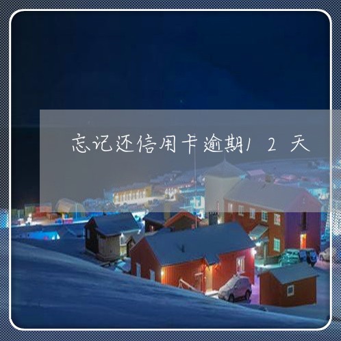 忘记还信用卡逾期12天/2023072391806