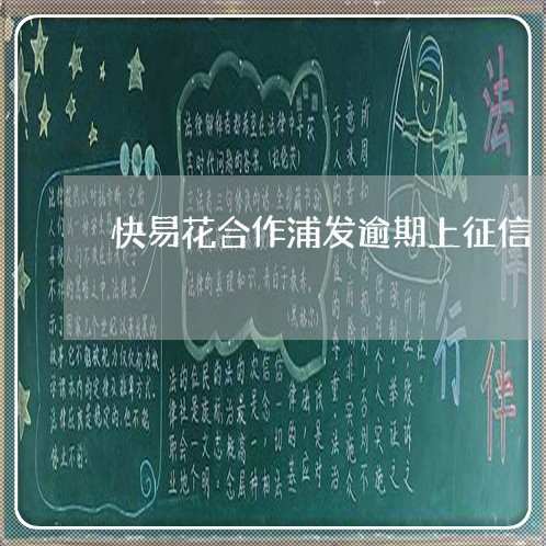 快易花合作浦发逾期上征信/2023042446159