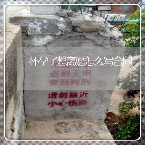 怀孕了想离婚怎么写合同/2023041194914 怀孕了想离婚怎么写合同/2023041194914