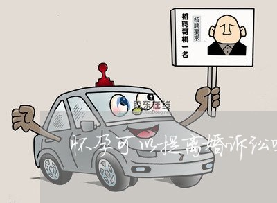 怀孕可以提离婚诉讼吗 怀孕可以提离婚诉讼吗