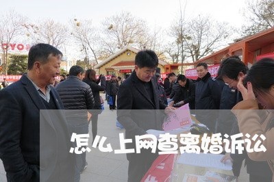 怎么上网查离婚诉讼 怎么上网查离婚诉讼