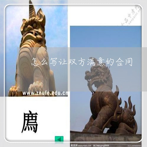 怎么写让双方满意的合同/2023022630571