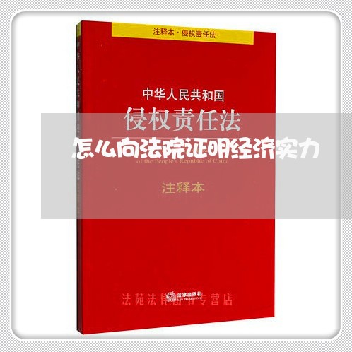 怎么向法院证明经济实力 怎么向法院证明经济实力