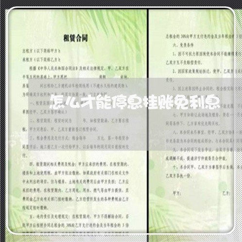 怎么才能停息挂账免利息