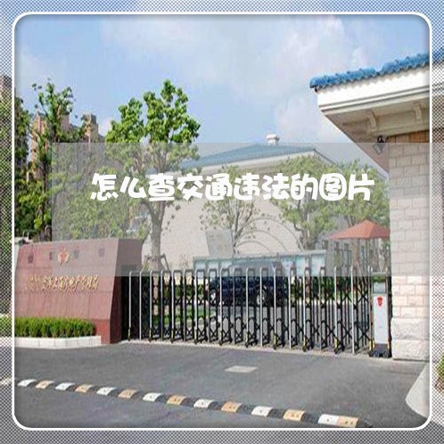 怎么查交通违法的图片 怎么查交通违法的图片