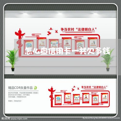 怎么查信用卡一共欠多钱 怎么查信用卡一共欠多钱