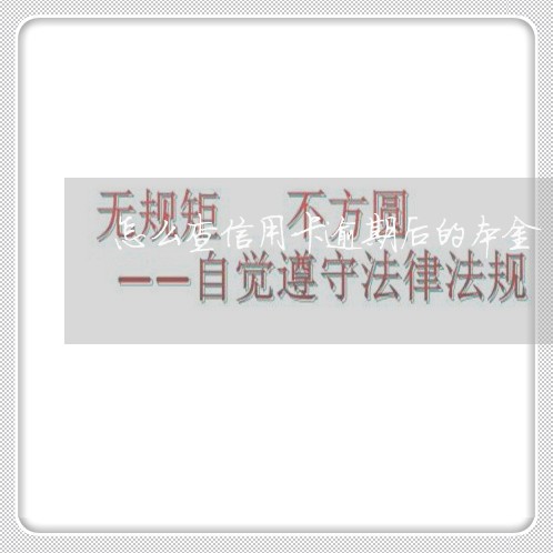 怎么查信用卡逾期后的本金/2023062358373