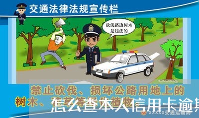 怎么查本人信用卡逾期/2023061795815