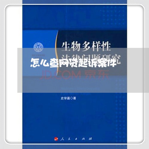 怎么查网贷起诉案件 怎么查网贷起诉案件