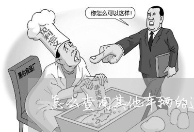 怎么查询其他车辆的违法几率 怎么查询其他车辆的违法几率