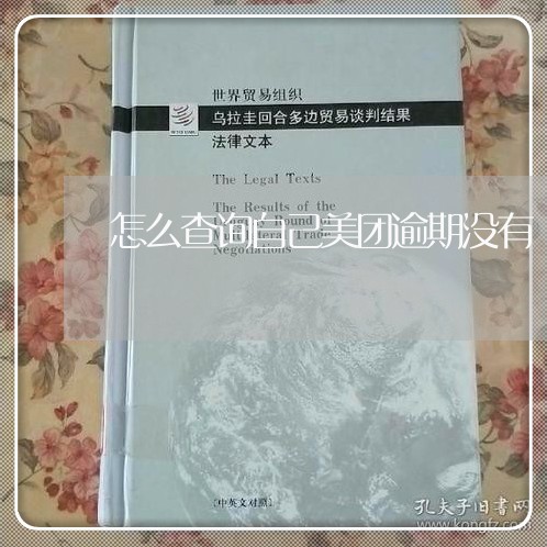 怎么查询自己美团逾期没有/2023032570815